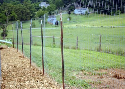 How to Build a Chicken Wire Fence - Chicken Farmers Union