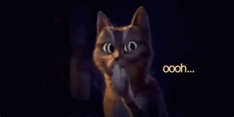 Ooooh Cat GIF - Ooooh Cat Really - Discover & Share GIFs