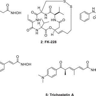 Various examples of histone deacetylase inhibitors (1-5). | Download ...