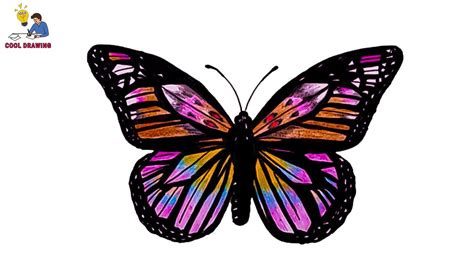 Butterfly Drawing Step By Step How To Draw Butterfly Butterfly