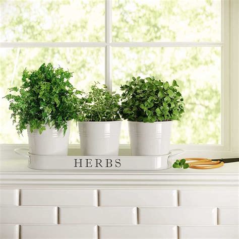 10 Best Herb Garden Planters and Kits of 2021 | Family Handyman