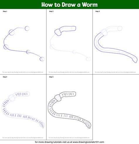 How to Draw a Worm printable step by step drawing sheet ...