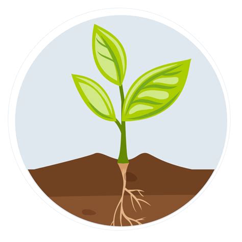 Plant Growth Stages: An Overview - AGrowTronics - IIoT For Growing