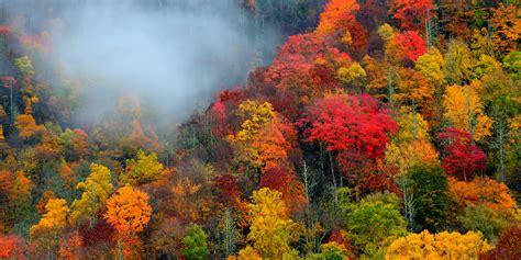 Tennessee Fall Foliage: Nature’s Autumn Palette - Minneopa Orchards