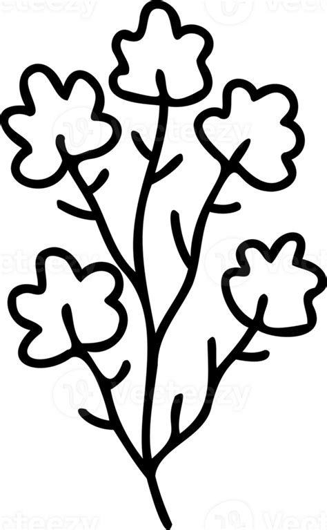 Line art flower illustration with black thin line and transparent ...