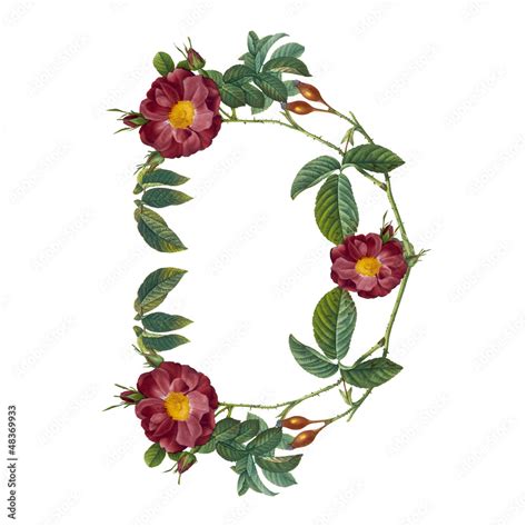 floral alphabet in white background Stock Illustration | Adobe Stock