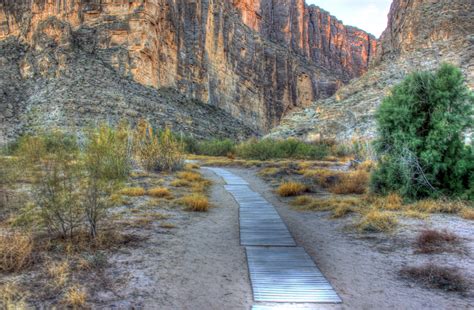 Path into the Canyon at Big Bend National Park, Texas image - Free ...