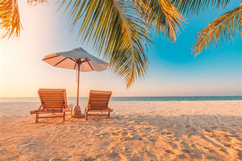 Beautiful tropical beach banner. White sand and coco palms travel ...