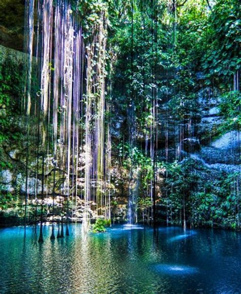 Enredo Buscar a tientas a pesar de cenote dos ojos en tulum Ingresos ...