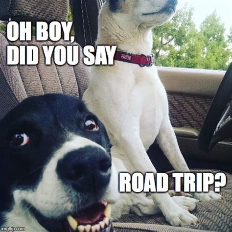 100+ Hilarious Road Trip Memes & Cartoons - Truth About Family Travel