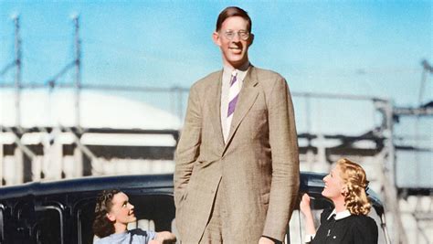 Tallest Man In The World Guinness Cheap Sale | aria-database.com