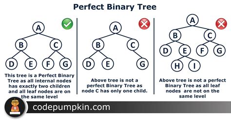 Types of Binary Tree | Binary Tree Introduction | Code Pumpkin