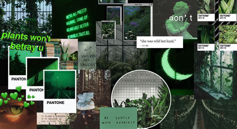 Dark Green Aesthetic Desktop Wallpapers - Top Free Dark Green Aesthetic ...