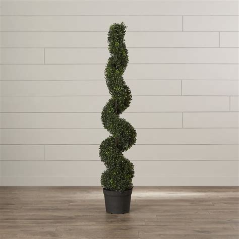 Faux Spiral Boxwood Topiary & Reviews | Joss & Main