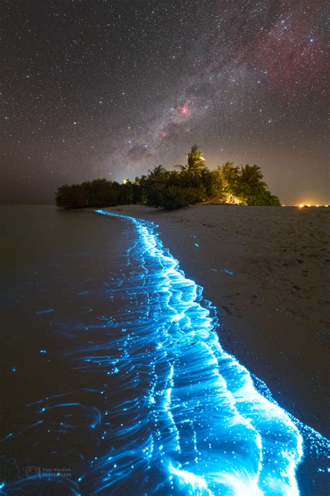 Huntington Beach Bioluminescence 2024 Schedule - Teddy Joannes