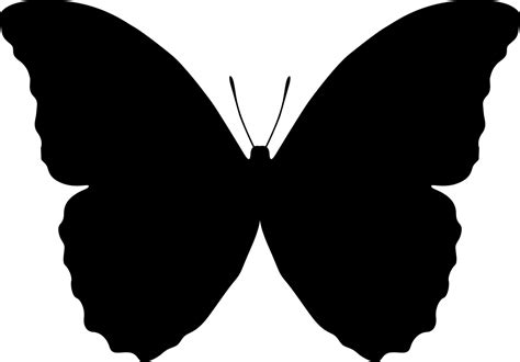 Butterfly Silhouette Vector Free Vector cdr Download - 3axis.co