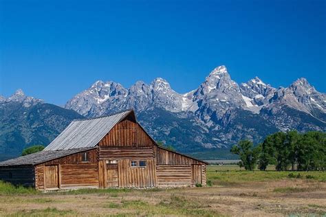 2024 Private Grand Teton Wildlife Safari Tour