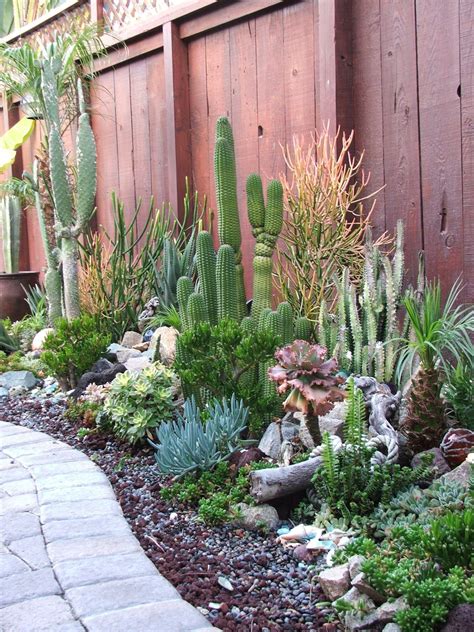 Outdoor Cactus Garden Ideas For The Best Looking Landscape