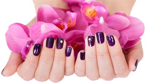 Manicure Png Nails Clipart Images Free Download Free Transparent Png Images