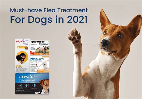 Must-have Flea Treatment For Dogs in 2021