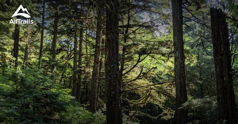 Best forest trails in Wrangell | AllTrails