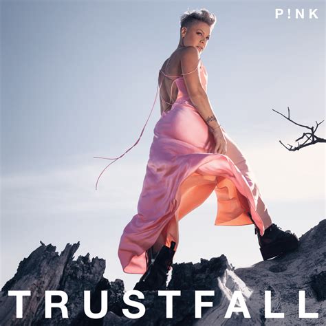 P!nk – Turbulence Lyrics | Genius Lyrics