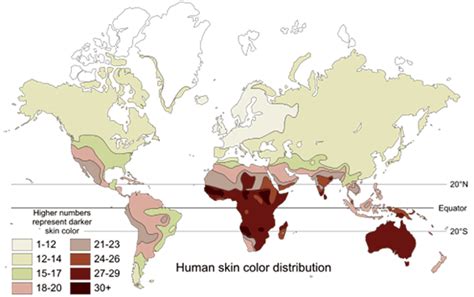 Genes, Skin Color and Vitamin D