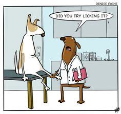 72 Medical Cartoons ideas | medical humor, bones funny, humor