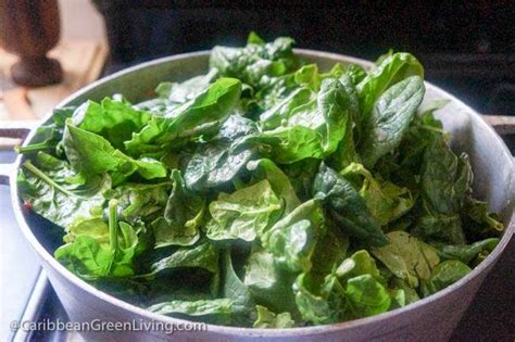 Easy Lalo (Jute Leaves) with Beef, Spinach and Blue Crab Stew ...