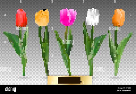 Realistic vector tulips set. Not trace. The blank for your design. Red ...