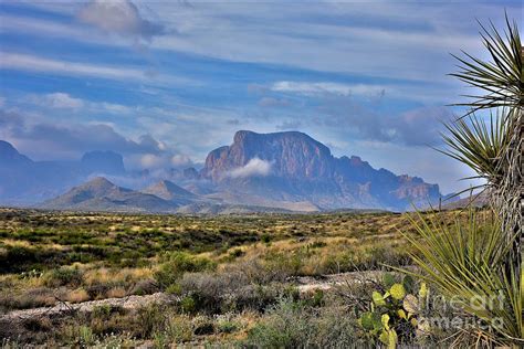 Chisos Mountains 2 Photograph by Dennis Nelson - Pixels