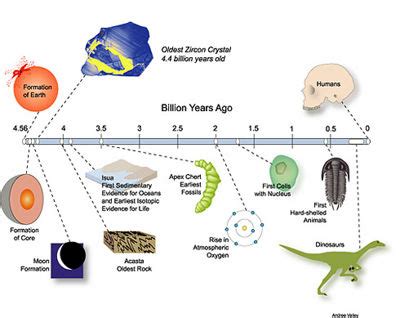 Theory of evolution - CreationWiki, the encyclopedia of creation science