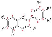 Anthocyanin - Wikipedia