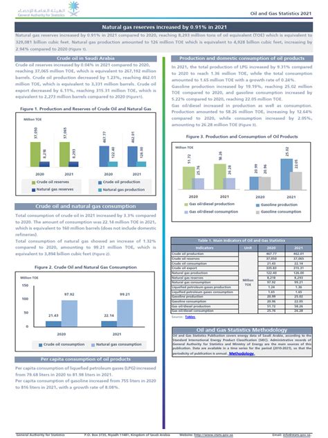 Oil and Gas Statistics 2021 EN | PDF