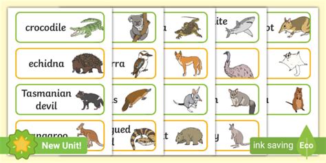 Australian Animals Names