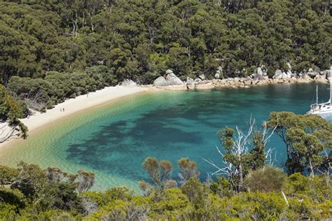 15 Best Beach Camping Spots in Victoria | Man of Many