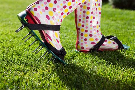 Aerate Lawn: How to Aerate Your Lawn | CT Lawns Tips