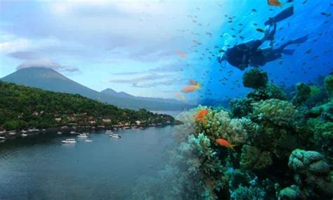 Tempat wisata bahari di Bali tour murah di bali, liburan murah di bali ...