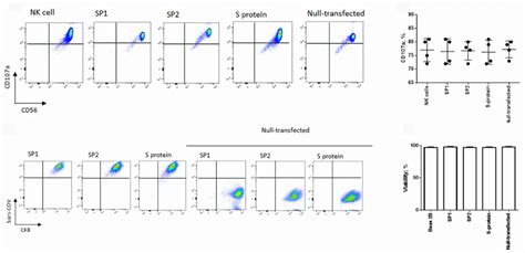 figure 2 – nk cells 2 – Melamed Lab