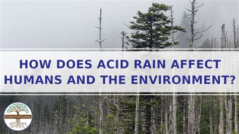 Effects Of Acid Rain On Human Skin