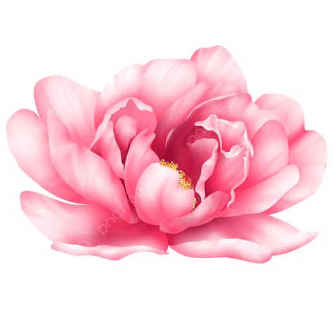 Free Psd PNG Transparent, Pink Watercolor Flowers Free Png And Psd ...