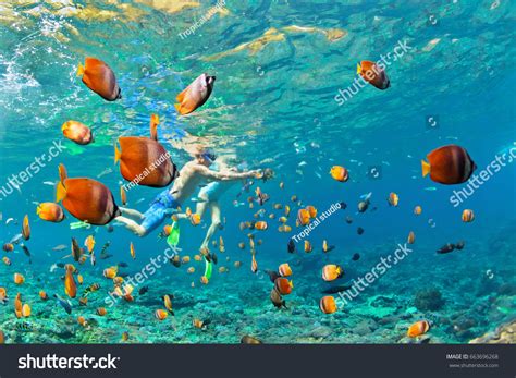 6,413 Snorkeling Underwater Bahamas Images, Stock Photos & Vectors ...