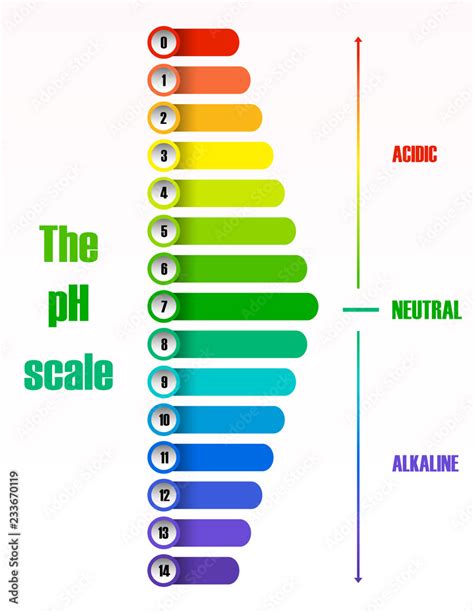 The ph scale diagram Stock Vector | Adobe Stock