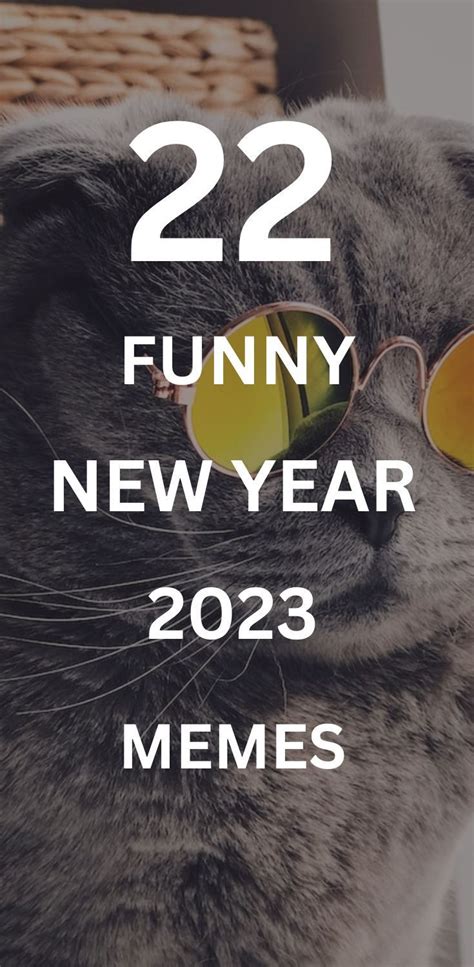 22 Funny New Year Memes 2023 | Hilarious Images