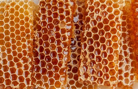 The Benefits Of Eating Honeycomb Explained - Revive A Bee