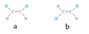 BSC 114 Chapter 4 - Isomers and Functional Groups Flashcards | Quizlet