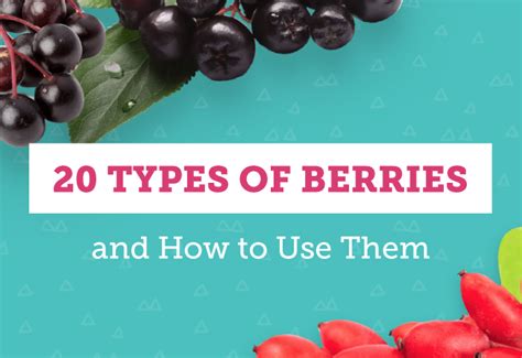 20 Types of Berries and Ways to Use Them - Shari's Berries Blog