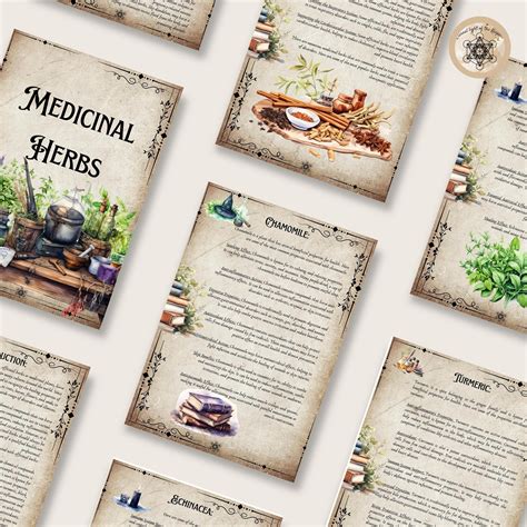 Printable Herbal Medicine Guide: A4 PDF on Medicinal Herbs, Herbal ...