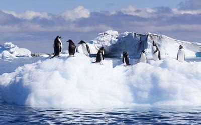 biggest mountain in Antarctica vincon massif - life in Antartica