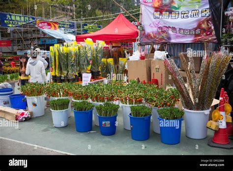 Lunar New Year Fair held at Victoria Park Stock Photo - Alamy